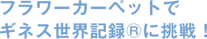 フラワーカーペットでギネス世界記録®に挑戦！