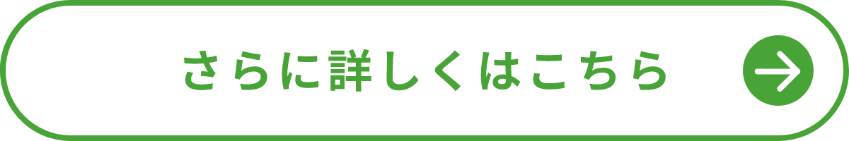 詳しくはこちら