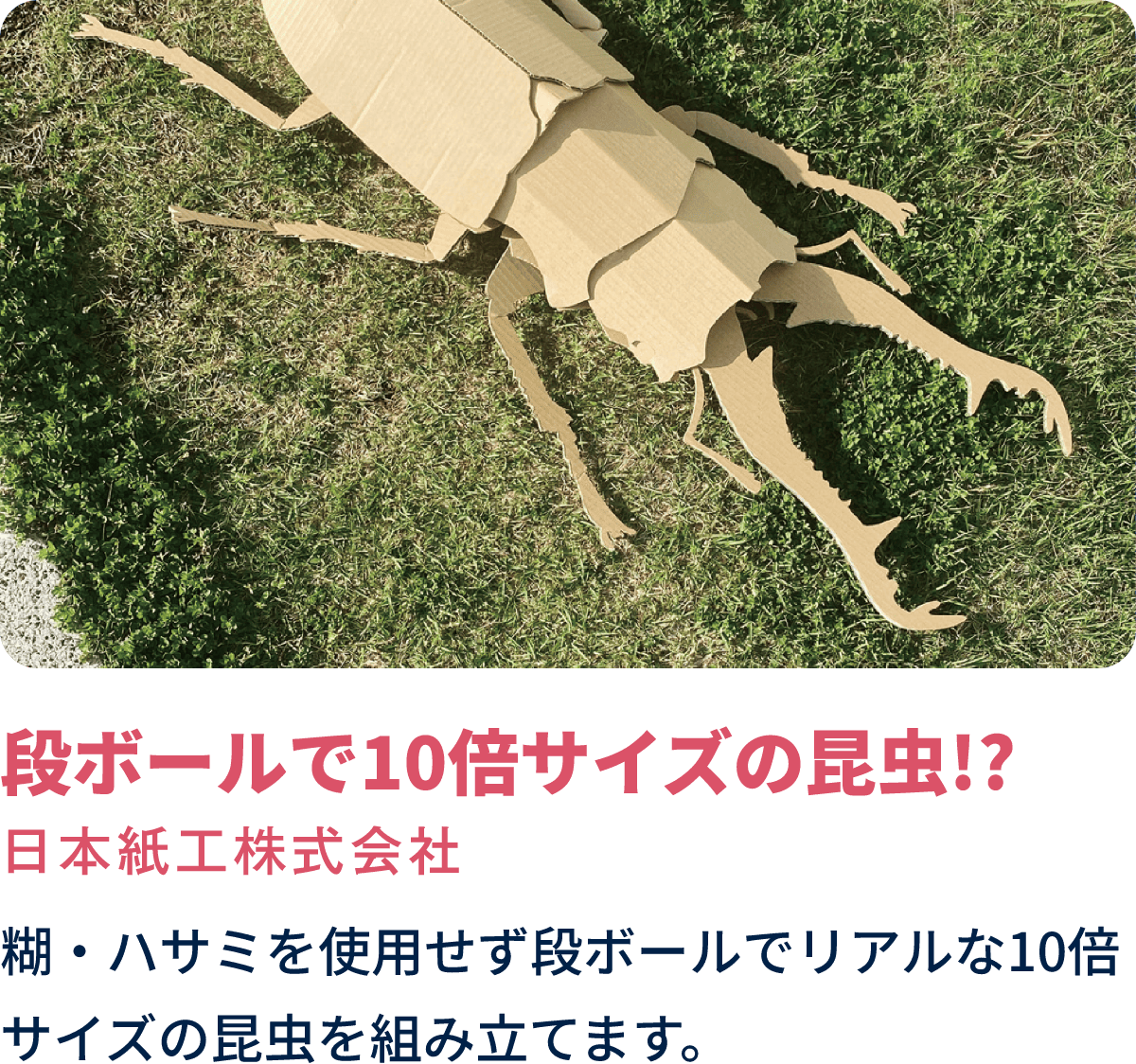 段ボールで10倍サイズの昆虫!?　日本紙工株式会社　糊・ハサミを使用せず段ボールでリアルな10倍サイズの昆虫を組み立てます。